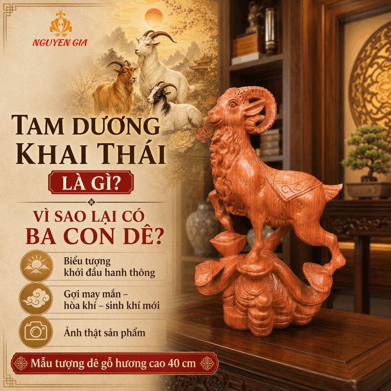 Tam Dương Khai Thái là gì?