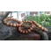 Vòng tay gỗ xá xị 12mm