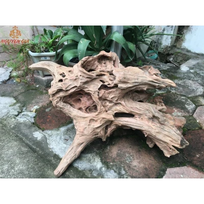 Gỗ lũa tự nhiên KT70x45 cm