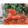 Tượng ngựa phong thủy gỗ Hương ngang 40 cm