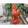 Tượng gà trống phong thủy bằng gỗ Hương cao 30 cm