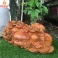 Tượng Di Lặc nhất Phúc Gỗ Bách Xanh