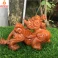 Tỳ hưu phong thủy gỗ Hương 20 cm