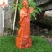 Tượng khổng minh gia cát lượng gỗ Hương cao 40 cm