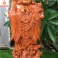 Tượng Di Lặc Ngũ Phúc Chúc Phúc cao 50 Gỗ Hương