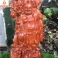 Tượng Di Lặc ngũ phúc Vác Cành Đào cao 50 Gỗ Hương