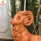 Tượng dê phong thủy bằng gỗ Hương cao 40 cm