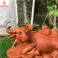 Tượng trâu phong thủy - Tiểu đồng cưỡi Trâu bằng gỗ Hương ngang 30 cm