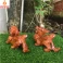 Tỳ hưu phong thủy gỗ Hương 20 cm