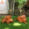Tỳ hưu phong thủy gỗ Hương 20 cm