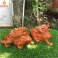 Tỳ hưu phong thủy gỗ Hương 20 cm