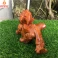 Tỳ hưu phong thủy gỗ Hương 20 cm