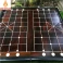 Bộ cờ tướng bàn cờ gỗ Trắc quân gỗ Hương đường kính 3,8 cm