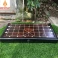 Bộ cờ tướng bàn cờ gỗ Trắc quân gỗ Hương đường kính 3,8 cm