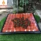 Bàn cờ tướng gấp gọn gỗ Hương quân gỗ Bách Xanh Thơm