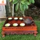 Khay trà gỗ hương lưỡng long (không bao gồm ấm chén)