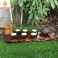 Khay trà gỗ Trắc nguyên khối KT63x23  (không bao gồm phụ kiện và ấm chén)