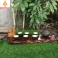 Khay trà gỗ Trắc nguyên khối KT63x23  (không bao gồm phụ kiện và ấm chén)