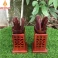 Bộ dụng cụ pha trà 6 món mẫu vuông