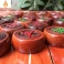 Bộ cờ tướng bàn cờ gỗ Hương cỡ Lớn quân gỗ Hương đường kính 4,8cm