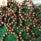 Vòng tay Gỗ Bách Xanh 12 mm