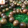 Vòng tay Gỗ Bách Xanh 12 mm
