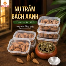 Nụ Trầm Bách Xanh 22 Nụ – Thơm Dịu, Dễ Đốt, Hợp Xông Nhà