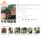 Vòng Tay Gỗ Bách Xanh 8 Ly Nhỏ Gọn, Thơm Nhẹ