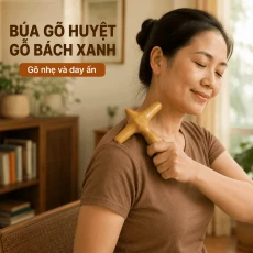 Búa Gõ Huyệt Gỗ Bách Xanh – Gõ Nhẹ Và Day Ấn