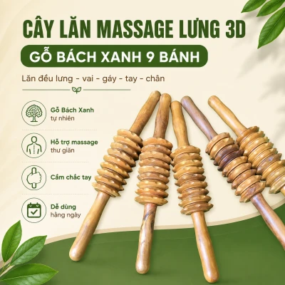 Cây Lăn Massage Lưng 3D Gỗ Bách Xanh 9 Bánh – Cầm Tay Dễ Dùng