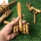 Bộ Dụng Cụ Massage Bằng Gỗ Bách Xanh 8 Món – Lăn Day Cổ Vai Gáy, Mặt, Lưng