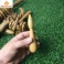 Bộ Dụng Cụ Massage Bằng Gỗ Bách Xanh 8 Món – Lăn Day Cổ Vai Gáy, Mặt, Lưng