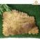 Khay trà gỗ Dổi nguyên khối 56 × 41 × 3 cm