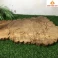 Khay trà gỗ Dổi nguyên khối 56 × 41 × 3 cm