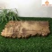 Khay trà gỗ Dổi nguyên khối 51 × 32 × 3 cm