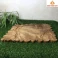 Khay trà gỗ Dổi nguyên khối 51 × 32 × 3 cm