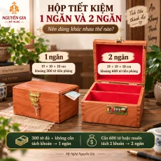 Hộp Tiết Kiệm 1 Ngăn Và 2 Ngăn Nên Dùng Khác Nhau Thế Nào?