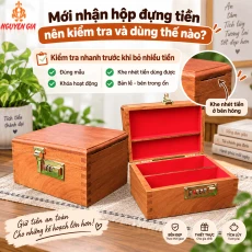 Mới Nhận Hộp Đựng Tiền: Nên Kiểm Tra Và Bắt Đầu Dùng Thế Nào?