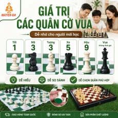 Giá Trị Các Quân Cờ Vua: Hậu, Xe, Tượng, Mã, Tốt Bao Nhiêu Điểm?