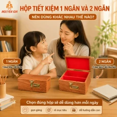 Hộp Tiết Kiệm 1 Ngăn Và 2 Ngăn Nên Dùng Khác Nhau Thế Nào?
