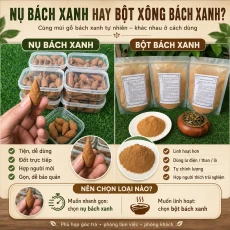 Nụ bách xanh là gì? Khác gì bột xông bách xanh?