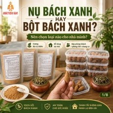 Nụ Bách Xanh Và Bột Bách Xanh Khác Nhau Thế Nào? Nên Chọn Loại Nào?