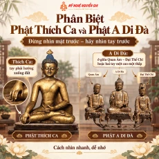 Phân Biệt Phật Thích Ca và Phật A Di Đà: Nhìn Điểm Nào Dễ Nhất?
