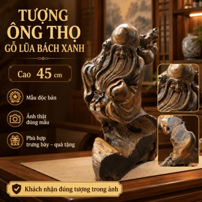 Tượng ông Thọ gỗ lũa Bách Xanh cao 45 cm
