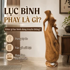 Lục Bình Phay Là Gì? Khác Gì Lục Bình Dáng Truyền Thống?