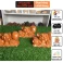 Tượng Heo Nằm Núi Tiền Gỗ Hương Nguyên Khối 19 × 9,5 × 10 cm