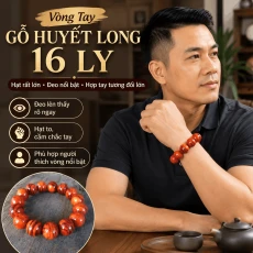 Vòng Tay Gỗ Huyết Long 16 Ly Hạt Rất Lớn, Nổi Bật