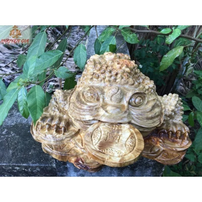 Cóc ngậm tiền (thiềm thừ) bằng gỗ Nu Nghiến KT38x38x14