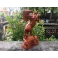 Tượng ngựa phong thủy nhất mã phi thiên gỗ Hương cao 48 Cm