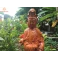 Tượng quan thế âm bồ tát gỗ Hương cao 50 cm